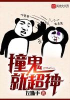 穿越之悍妇的婚姻护卫战