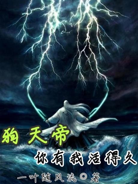 我在大明开酒店