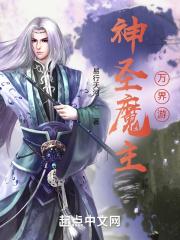 陆少别来无恙免费阅读在线