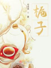 无敌天下黄小龙资料