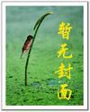南宋风烟路