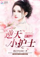 我和二十六岁美女总裁